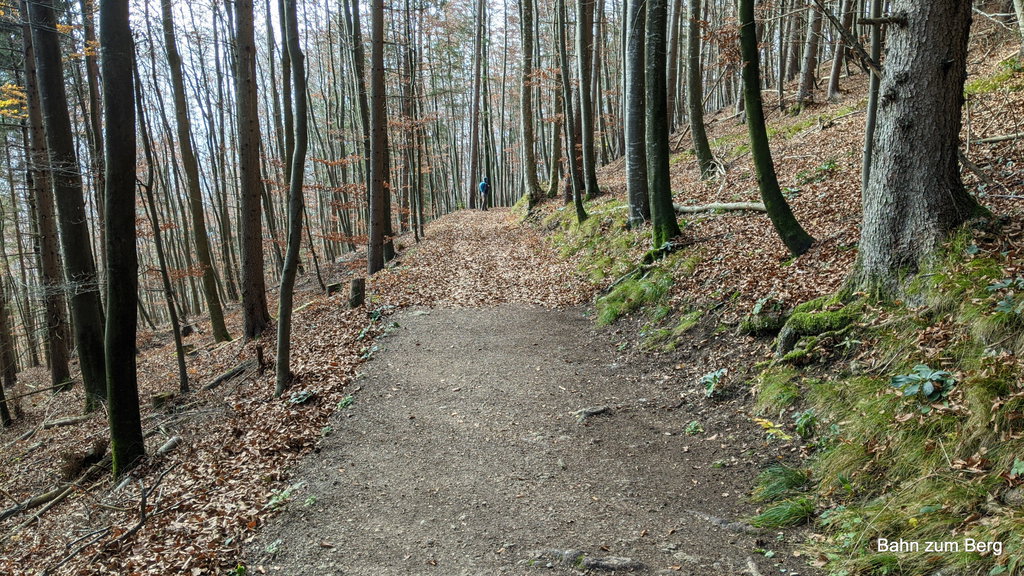 Ende des blättergeräumten Wegstücks. Foto: Martin Heppner