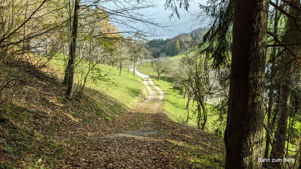 Aus dem Wald, zum Bauernhaus am Untergrasberg. Foto: Martin Heppner