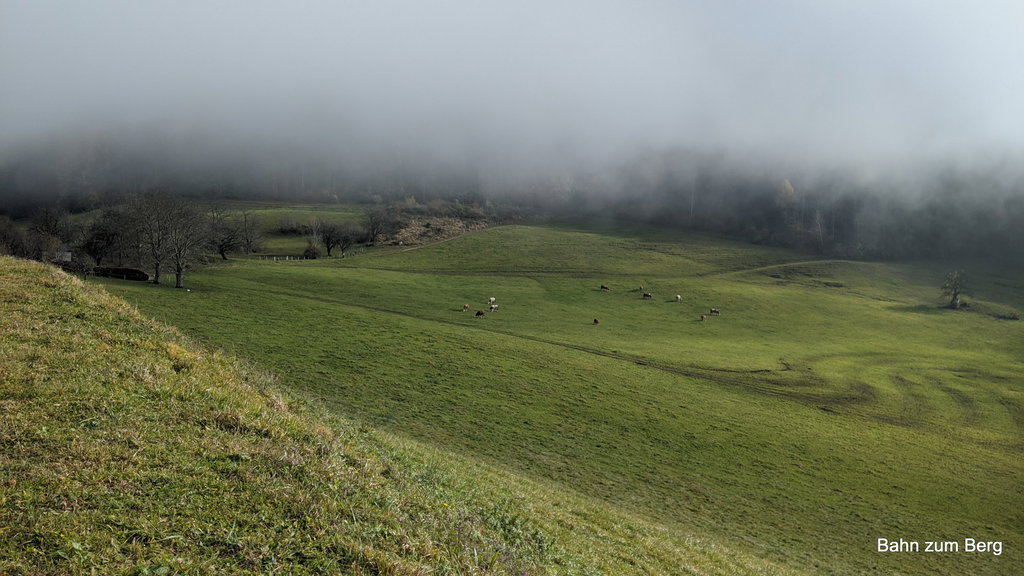Vor dem Bauernhof am Obergrasberg. Foto: Martin Heppner