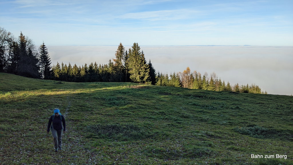 Lichtung im halben Aufstieg auf den Glatzberg. Foto: Martin Heppner