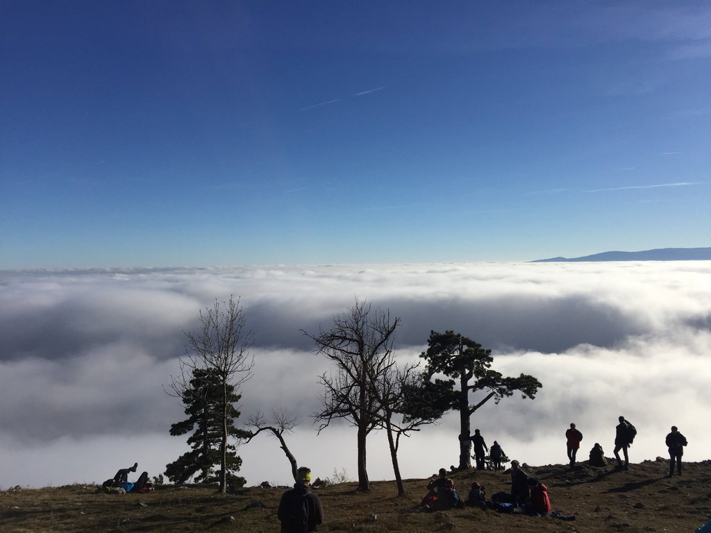 Aussicht beim Hubertushaus. Foto: Petra Jens