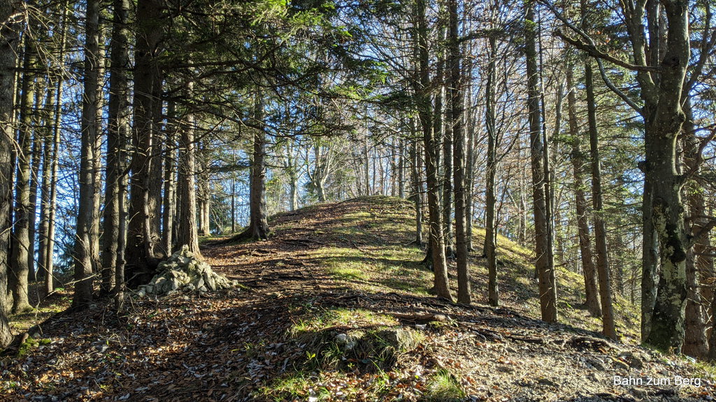 Kurz vor dem Gipfel des Glatzbergs. Foto: Martin Heppner