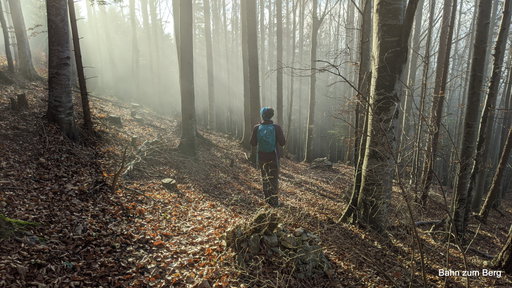 Am Steinmanderlsteig. Foto: Martin Heppner