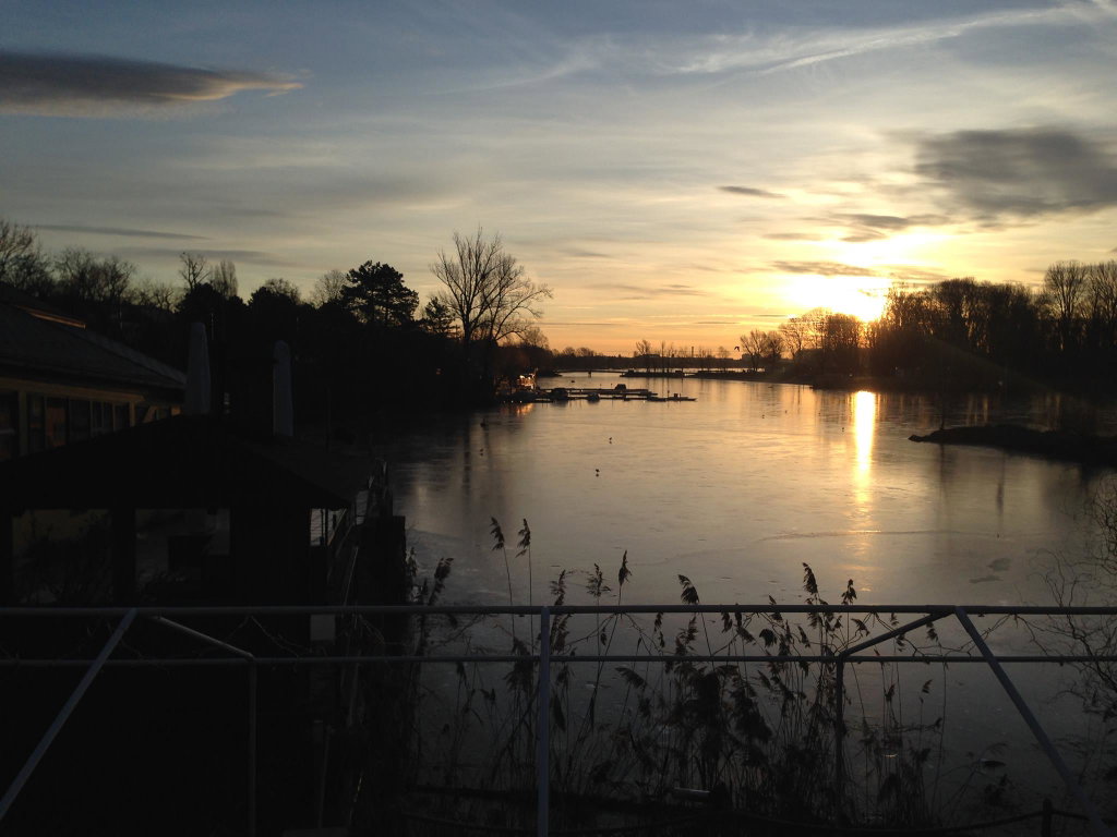 Morgenstimmung an der Oberen Alten Donau. Fotos: Petra Jens
