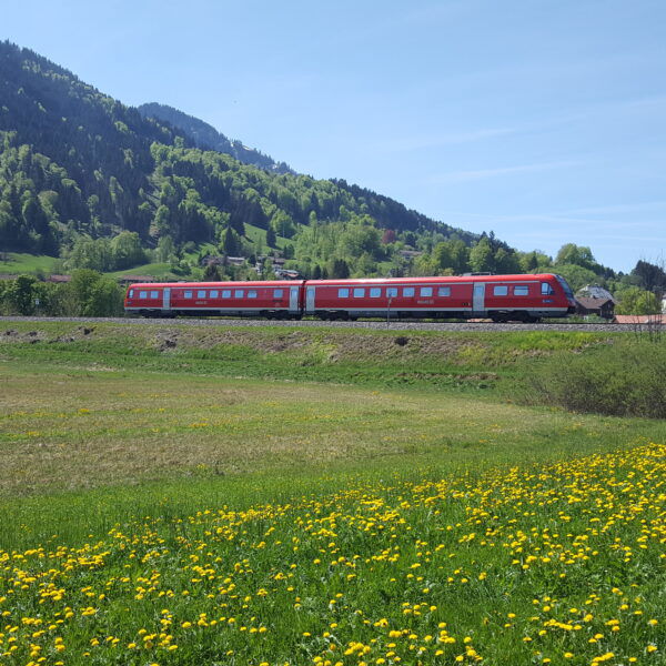 Foto: Markus Büchler