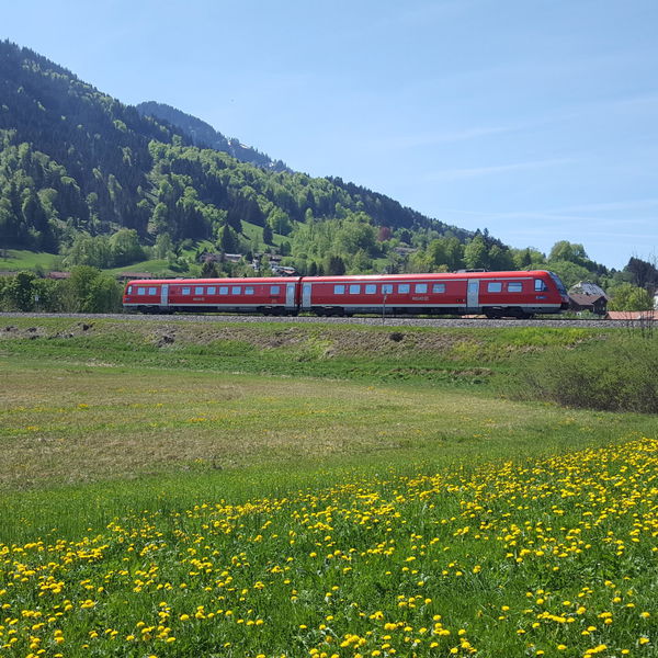 Von Sachrang auf den Spitzstein