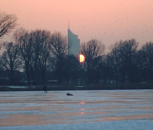 Alte Donau 1. Foto: Petra Jens