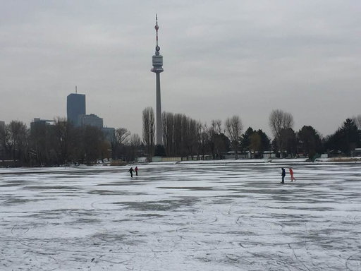 Alte Donau 2. Foto: Petra Jens