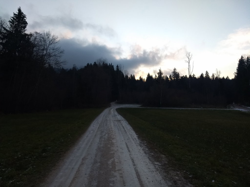Kurz vor dem Wanderparkplatz. Foto: Nikolaus Vogl