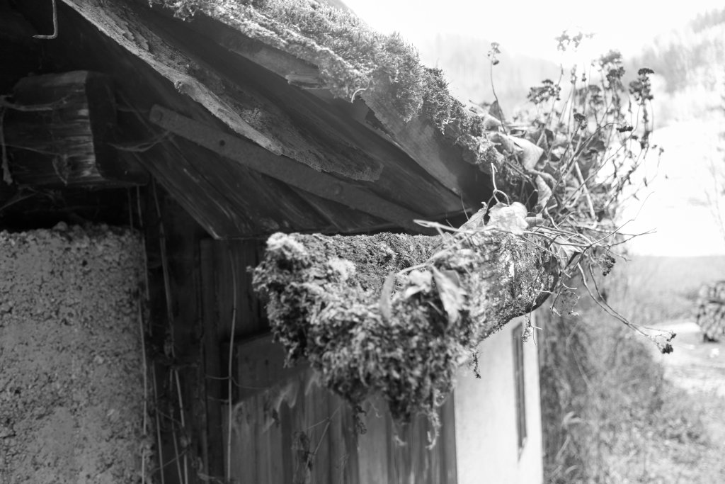 Mühlstein, Schrotwerk, hölzerne Dachrinne, neugierige Nase, Hausmühle in Gaflenz, Fotos Martin Heppner