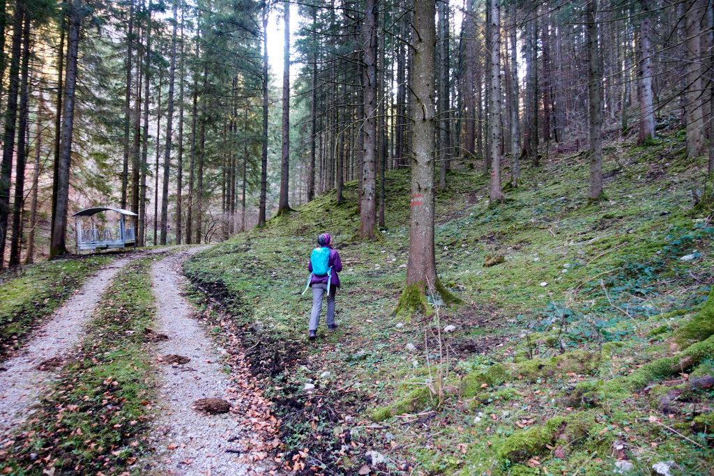 Markierte Abzweigung zum Waldweg Bachgraben, Foto Martin Heppner 