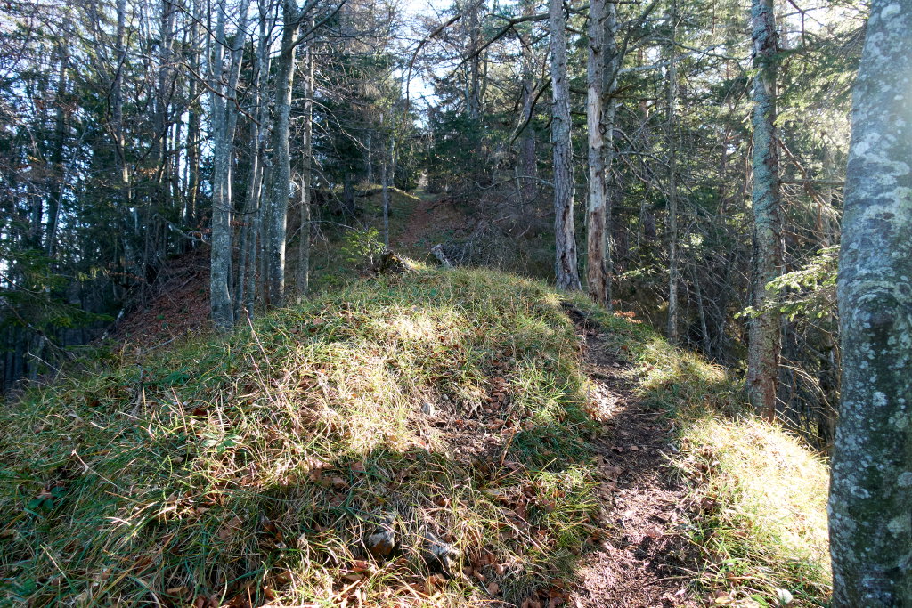 Kammweg Hirschkogel, Foto Martin Heppner 