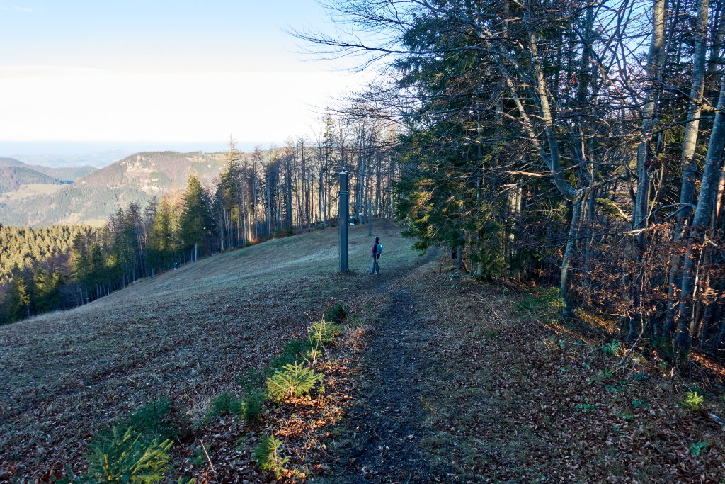 Skifoahrn auf der Forsteralm, Foto Martin Heppner