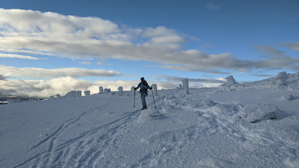 Vom Hochwechsel zum Niederwechsel entlang des Bergkammes. Foto Martin Heppner