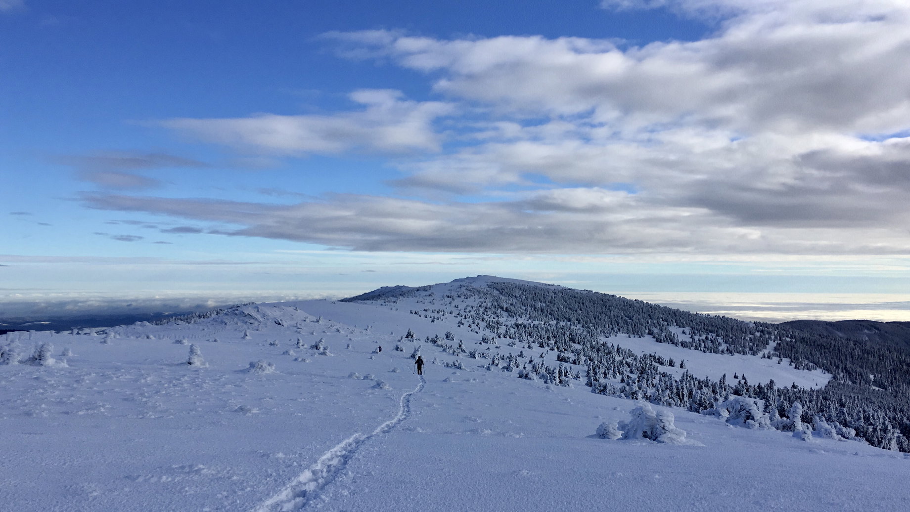 Niederwechsel