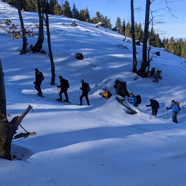 Hennesteck. Foto: Csaba Szépfalusi