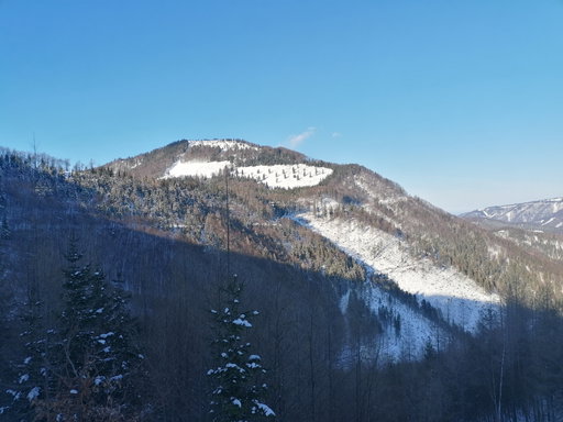 Blick zurück auf den Türnitzer Höger. Foto: Peter Ofner