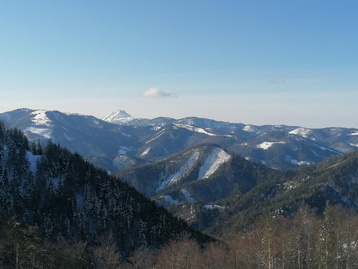 Aussicht vom Türnitzer Sattel auf den Ötscher. Foto: Peter Ofner