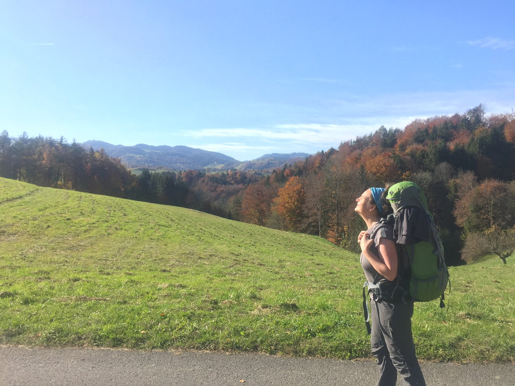 Es ist der pure Genuss, durch das südsteirische Weinland zu wandern. Foto: Petra Jens