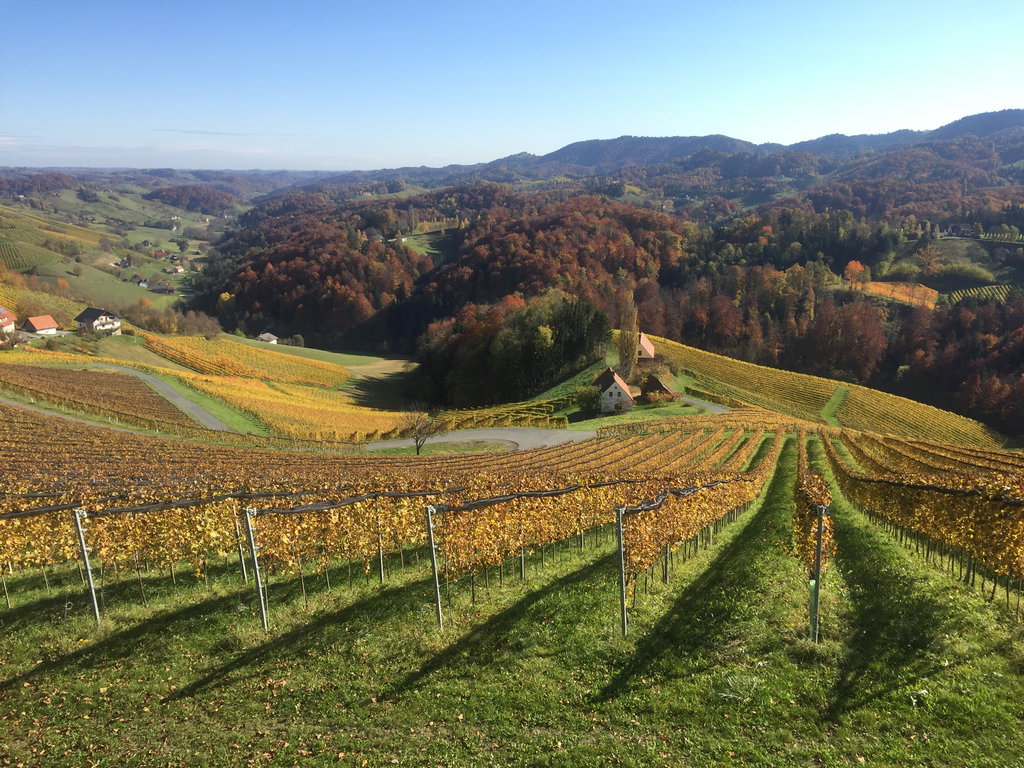 Südsteiermark im Herbst - eine Bilderbuchlandschaft. Foto: Petra Jens