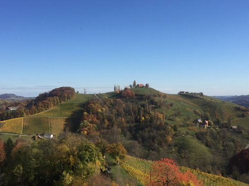 Weinberge 2. Foto: Petra Jens