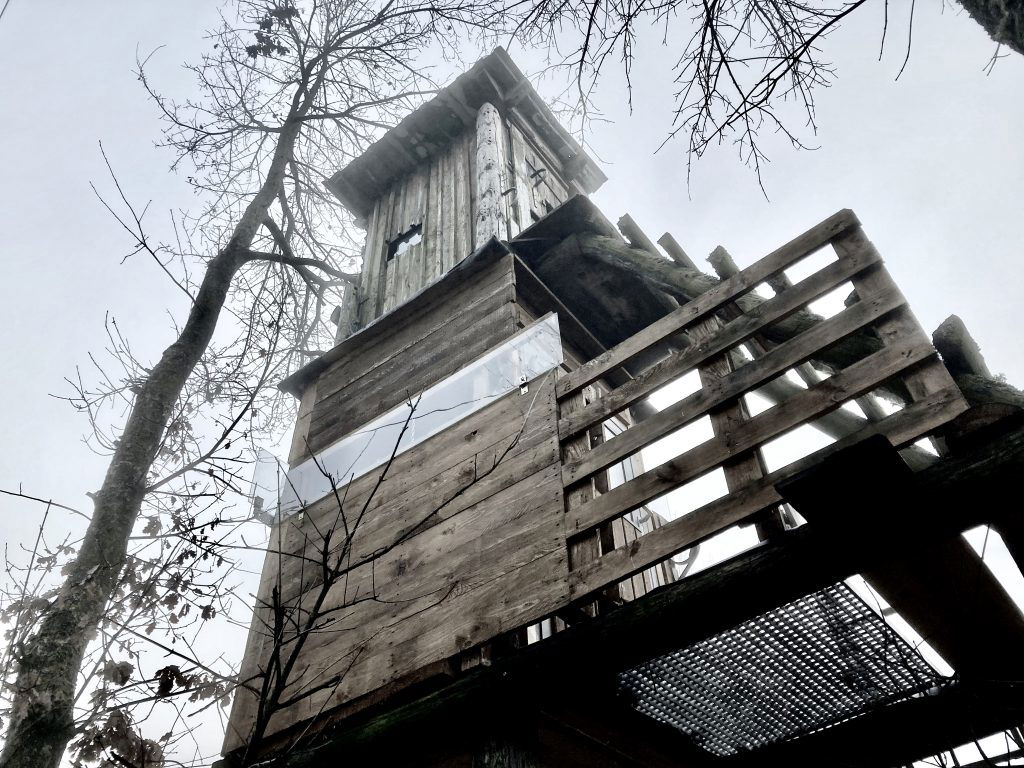 Ein außergewöhnlicher Jägerstand. Foto: Stefan Hochhold