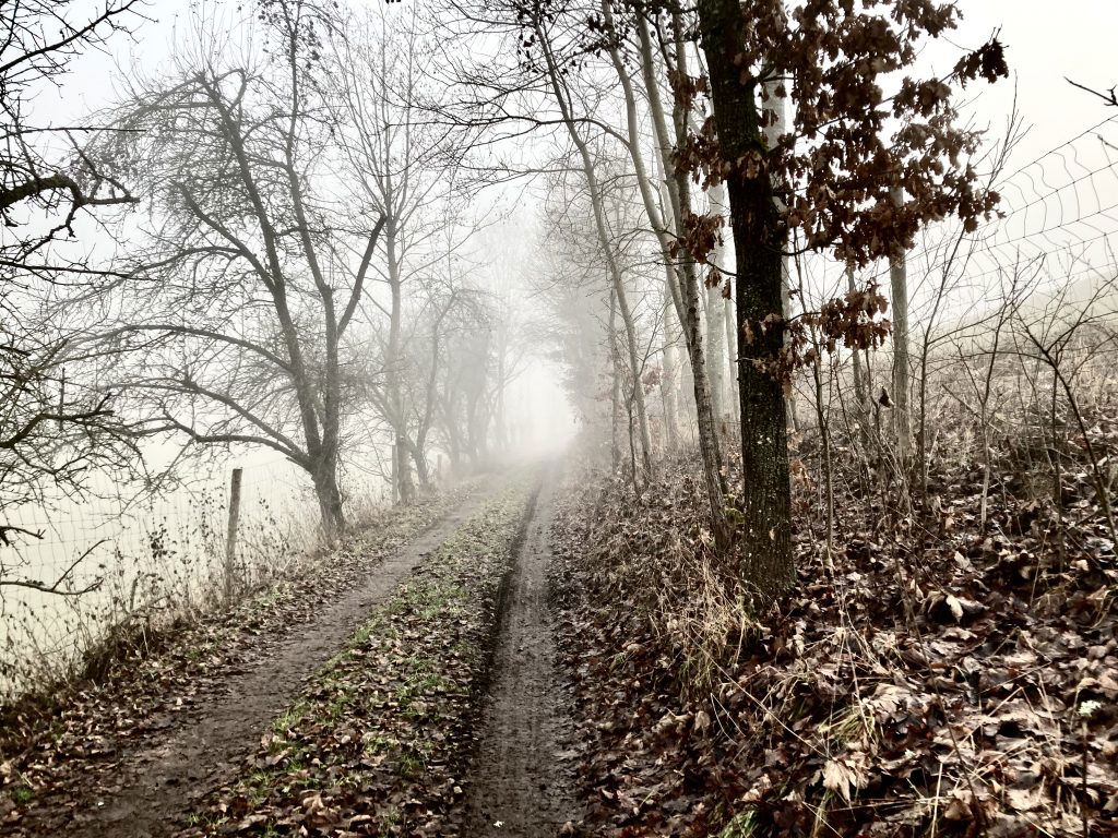 Der Weg ist das Ziel. Foto: Stefan Hochhold