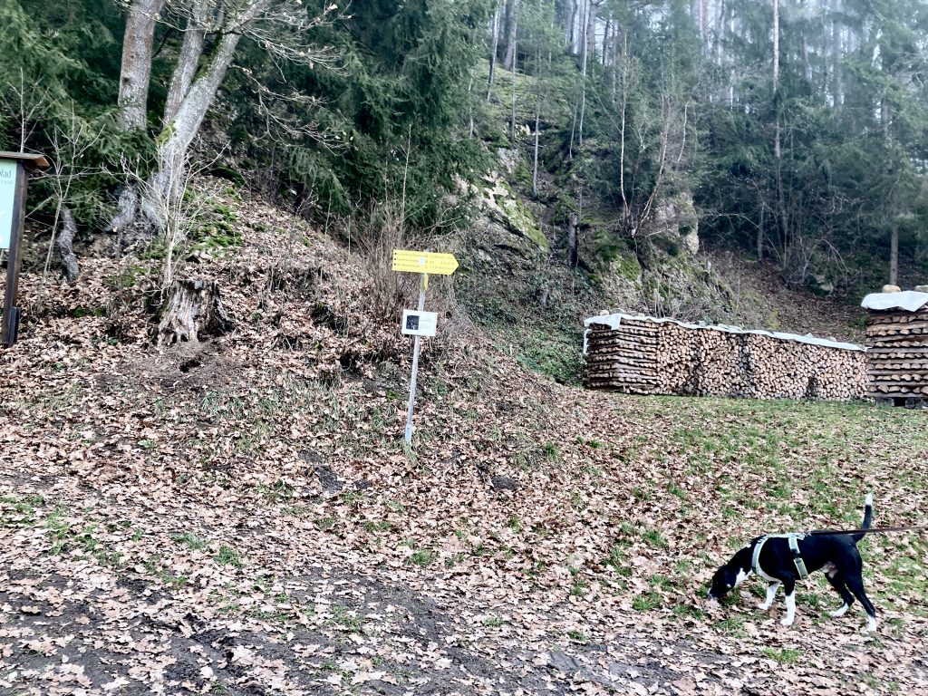 Radiästhesie Lehrpfad. Foto: Stefan Hochold