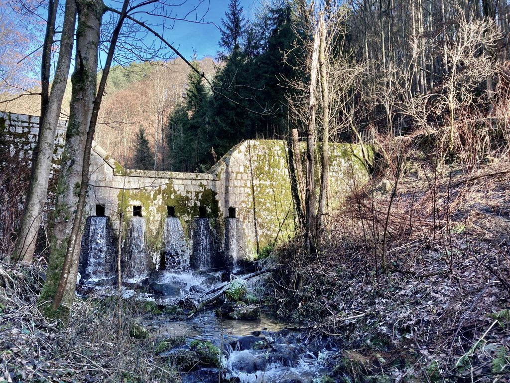Wasserwehr. Foto: Stefan Hochhold