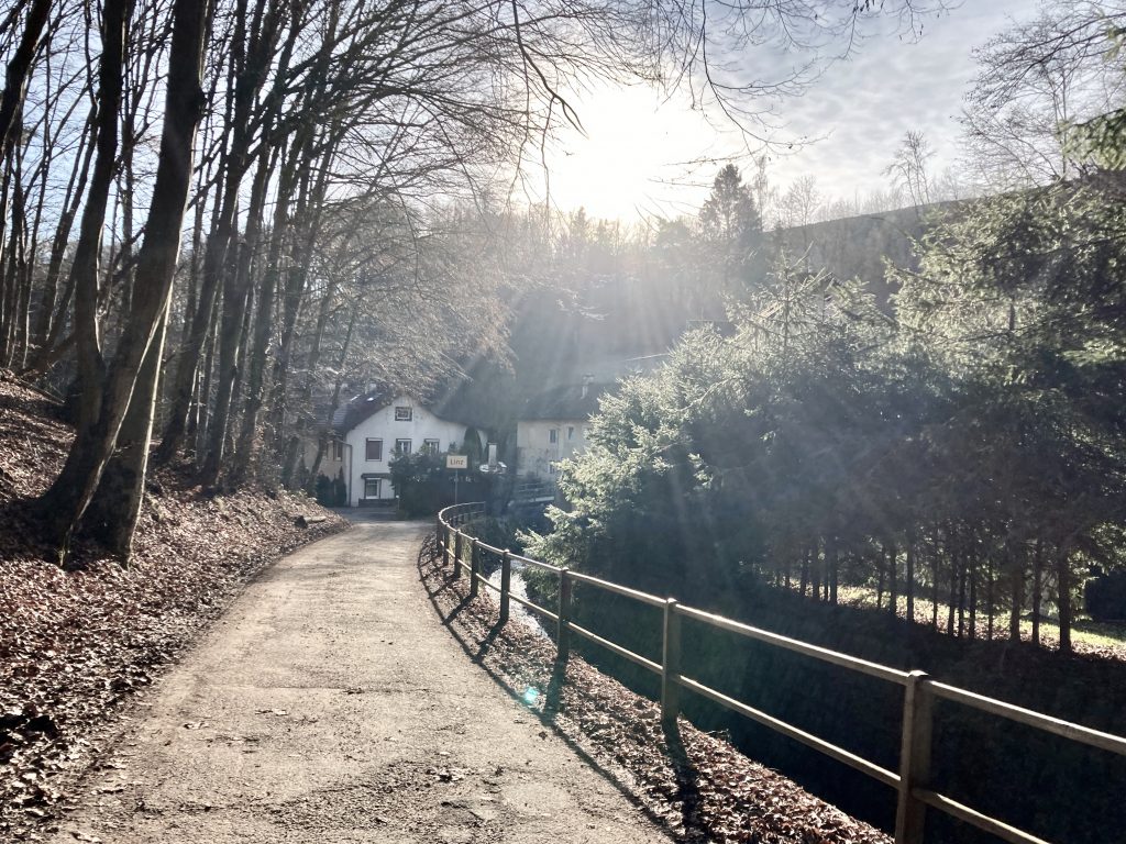 Vor uns: Linz. Neben uns: Der Höllmühlbach. Foto: Stefan Hochhold
