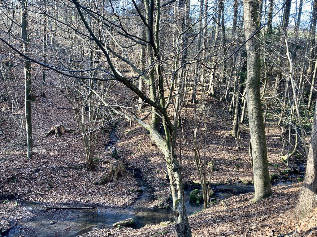 Schießstättenbach. Foto: Stefan Hochhold