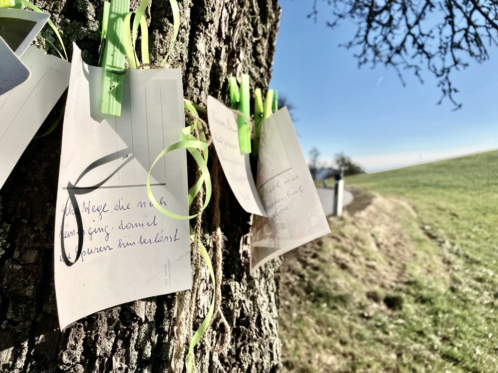 Baum mit Postkartensprüchen. Foto: Stefan Hochhold