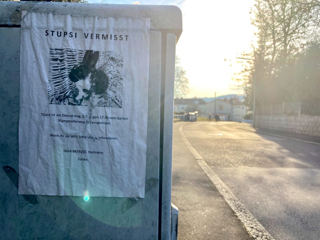 Where the f*** is Stupsi? Foto: Stefan Hochhold