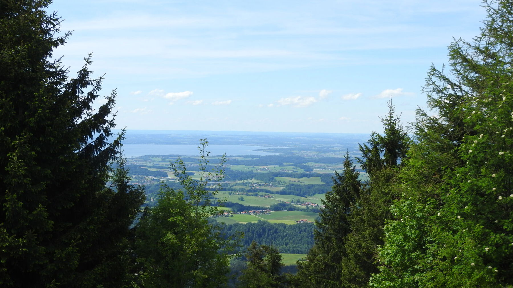 Zinnkopf. Foto: Nikolaus Vogl