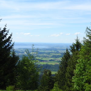 Zinnkopf: Winterberg bei Ruhpolding
