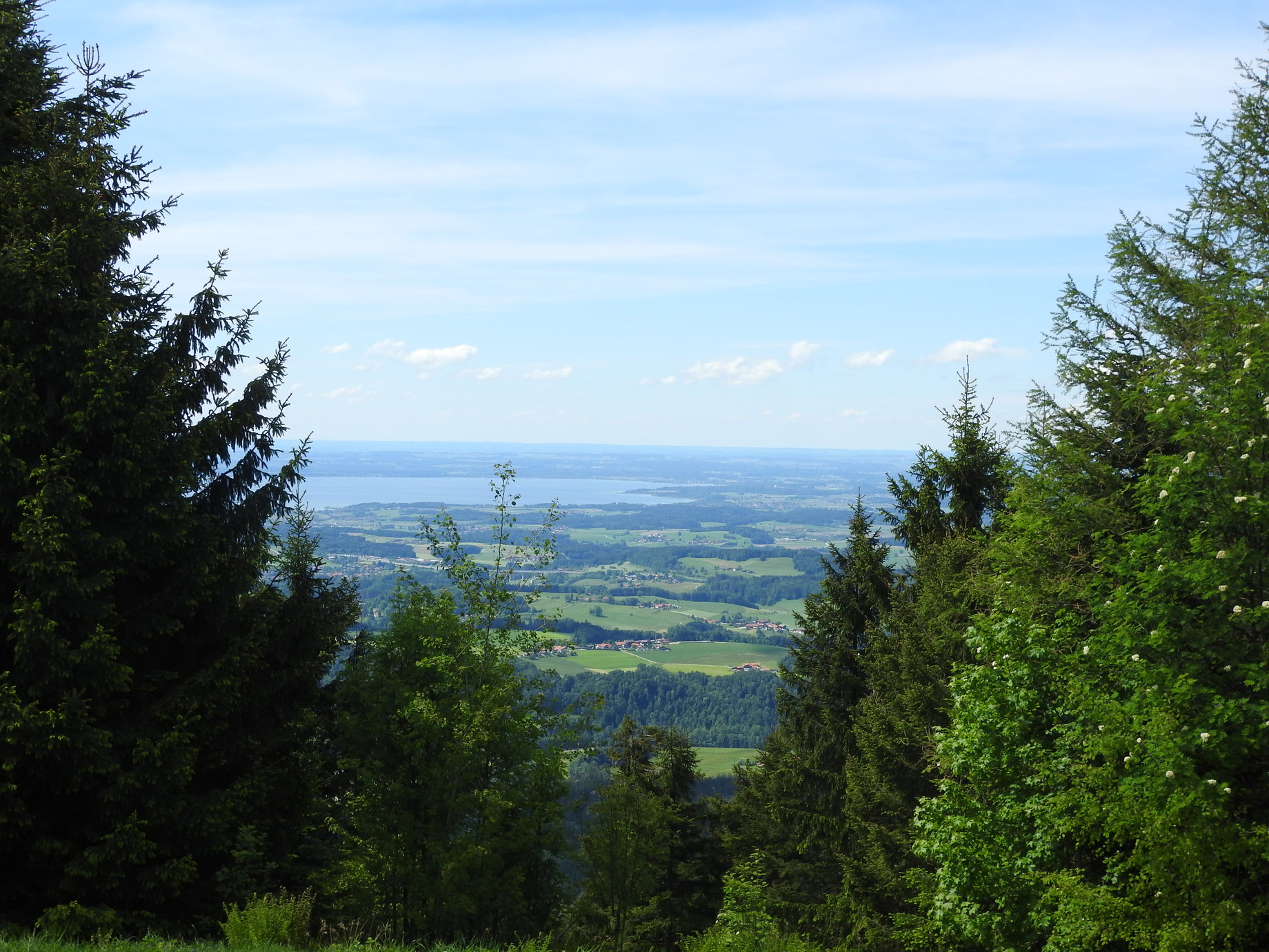 Zinnkopf. Foto: Nikolaus Vogl