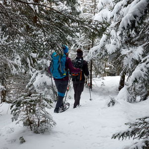 Schneeschuhwanderung, mit allem und scharf