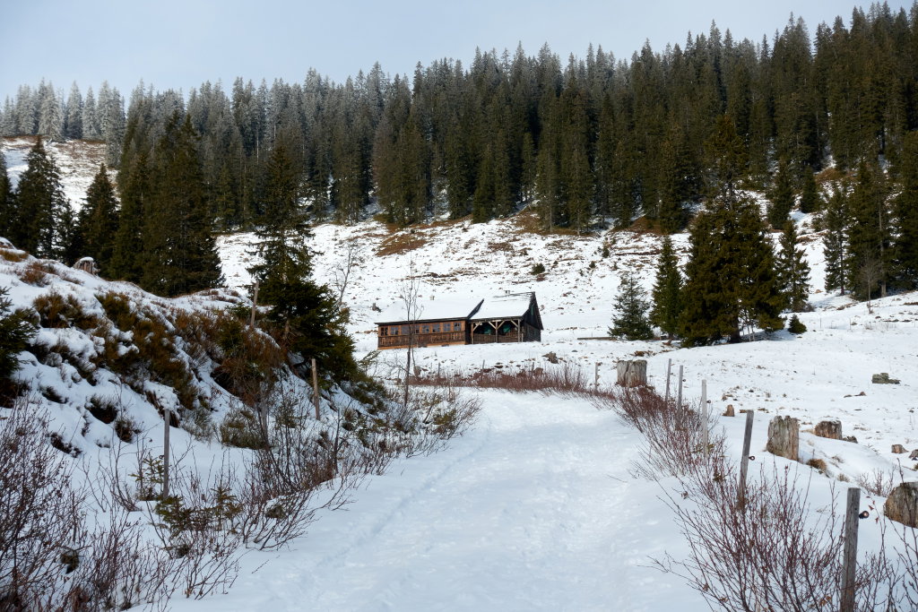 Meßner Alm. Foto Martin Heppner