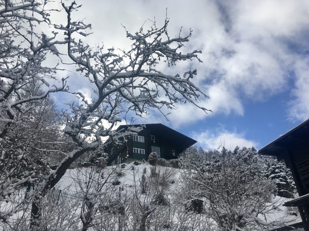 Looshaus. Foto Veronika Schöll