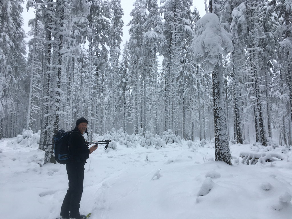 Ein Männlein steht im Walde... Foto Veronika Schöll