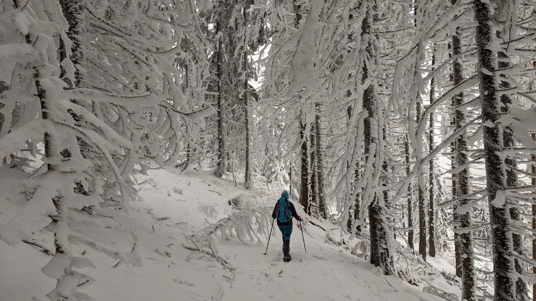 Von Langenwang nach Mürzzuschlag