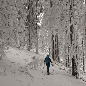 Von Langenwang nach Mürzzuschlag