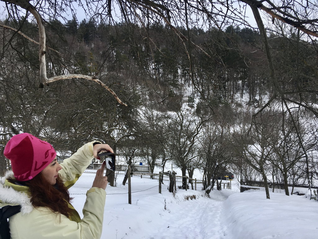 Am Weg nach Sollgraben. Foto Veronika Schöll