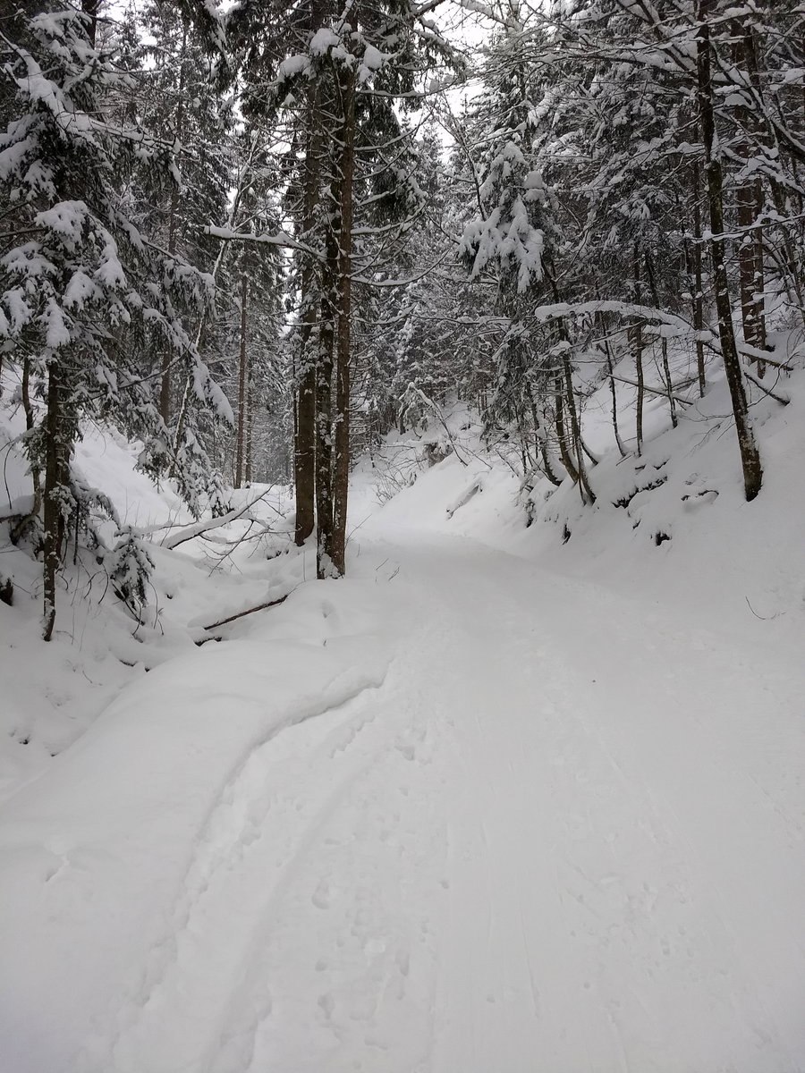 Im Aufstieg. Foto: Nikolaus Vogl