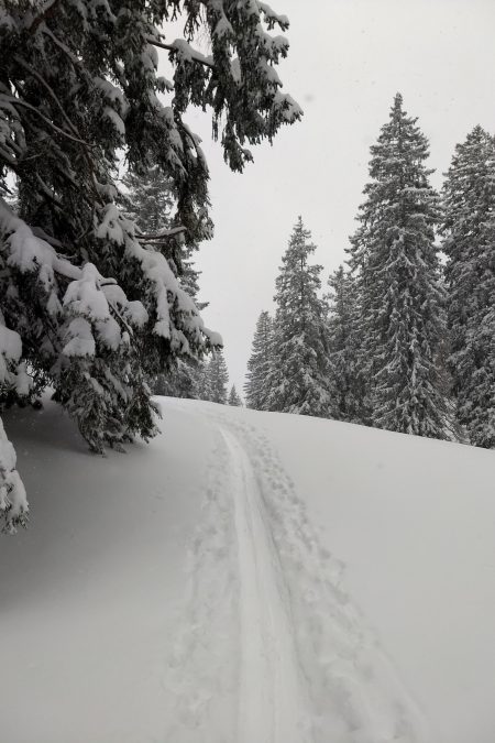 Aufstiegsspur nach Neuschnee. Foto: Nikolaus Vogl