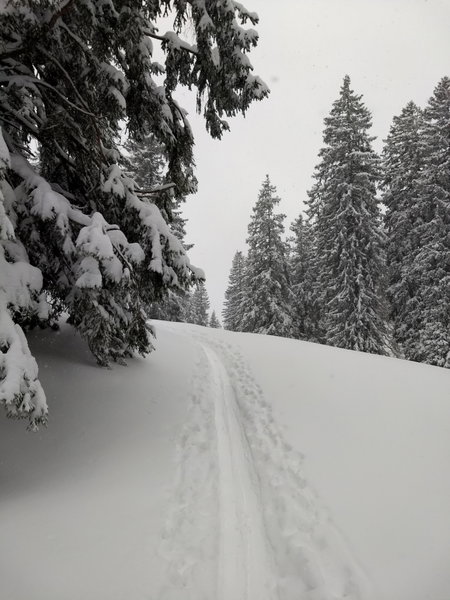 Aufstiegsspur nach Neuschnee. Foto: Nikolaus Vogl