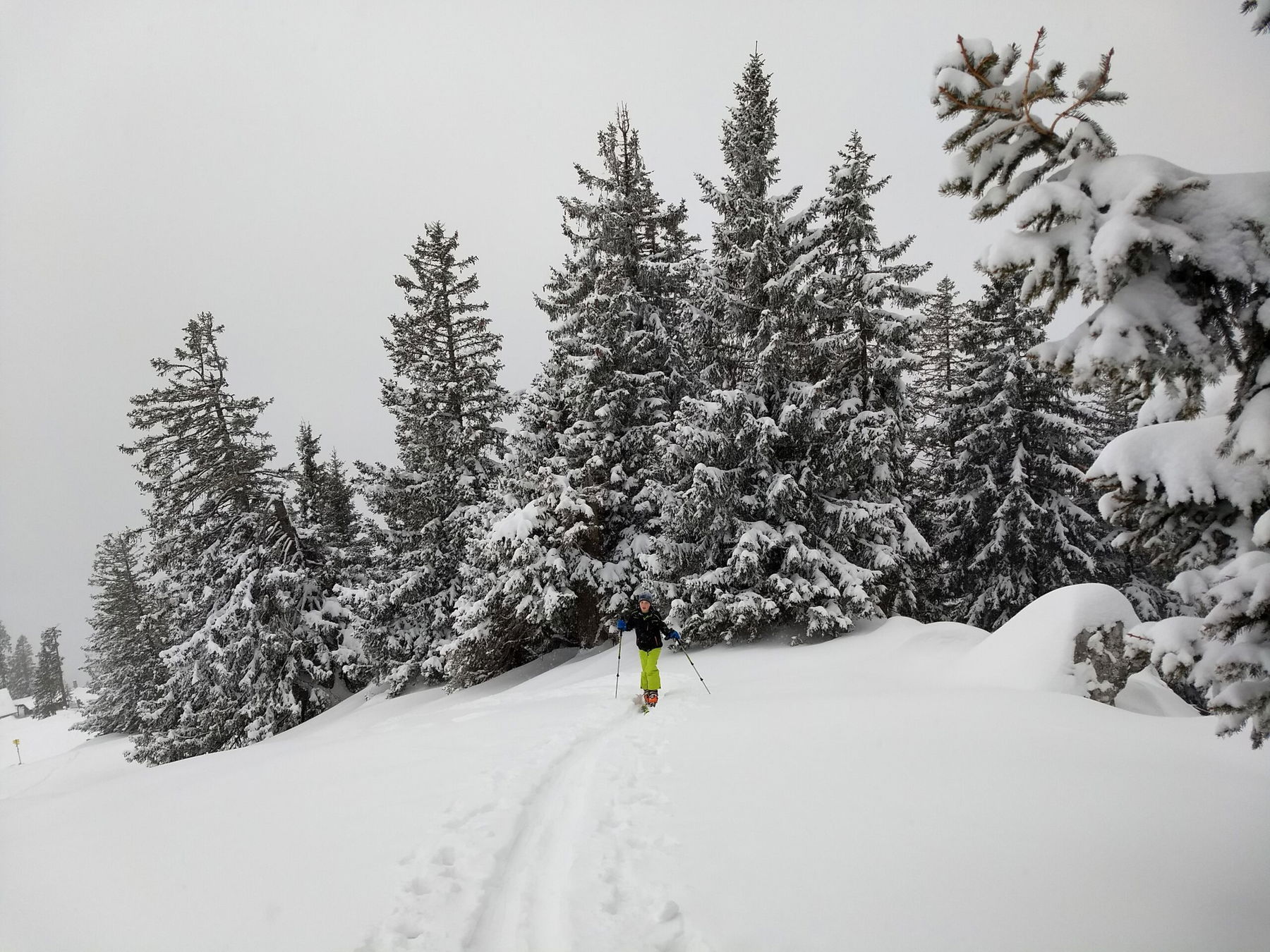 Skitour auf den kleinen Nachbarn des Rauschbergs