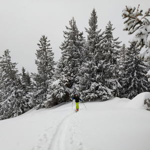 Skitour auf den kleinen Nachbarn des Rauschbergs