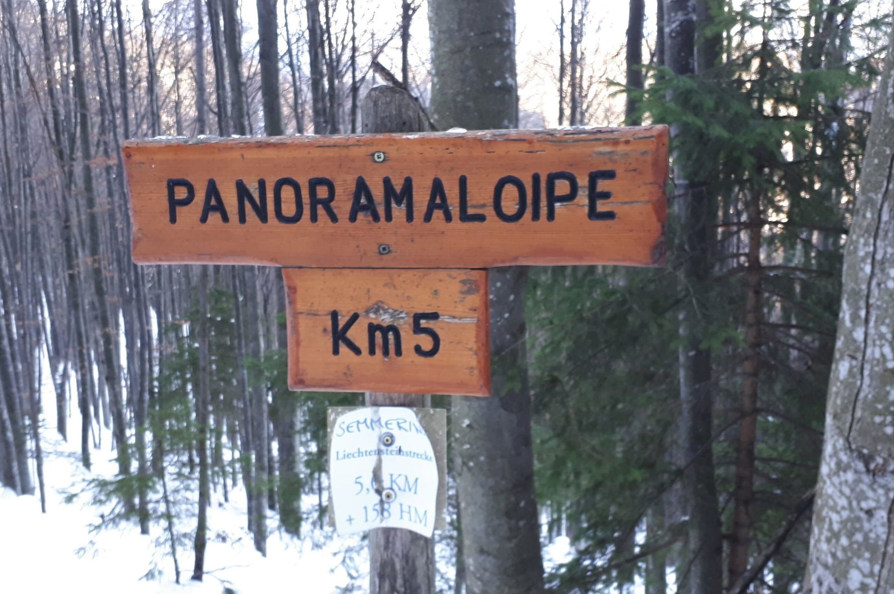 Langlaufen am Semmering