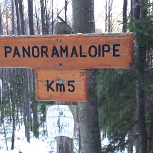 Langlaufen am Semmering